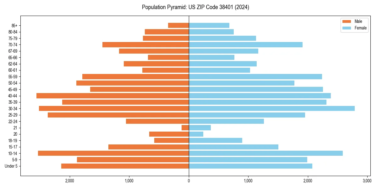 Population pyramid for 
