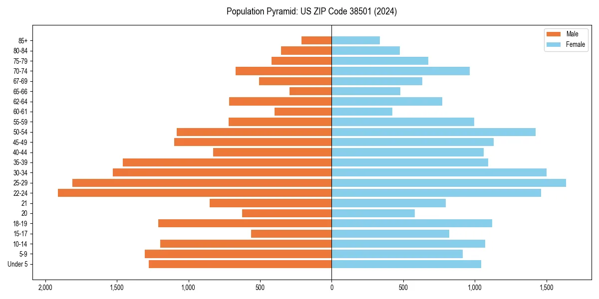 Population pyramid for 
