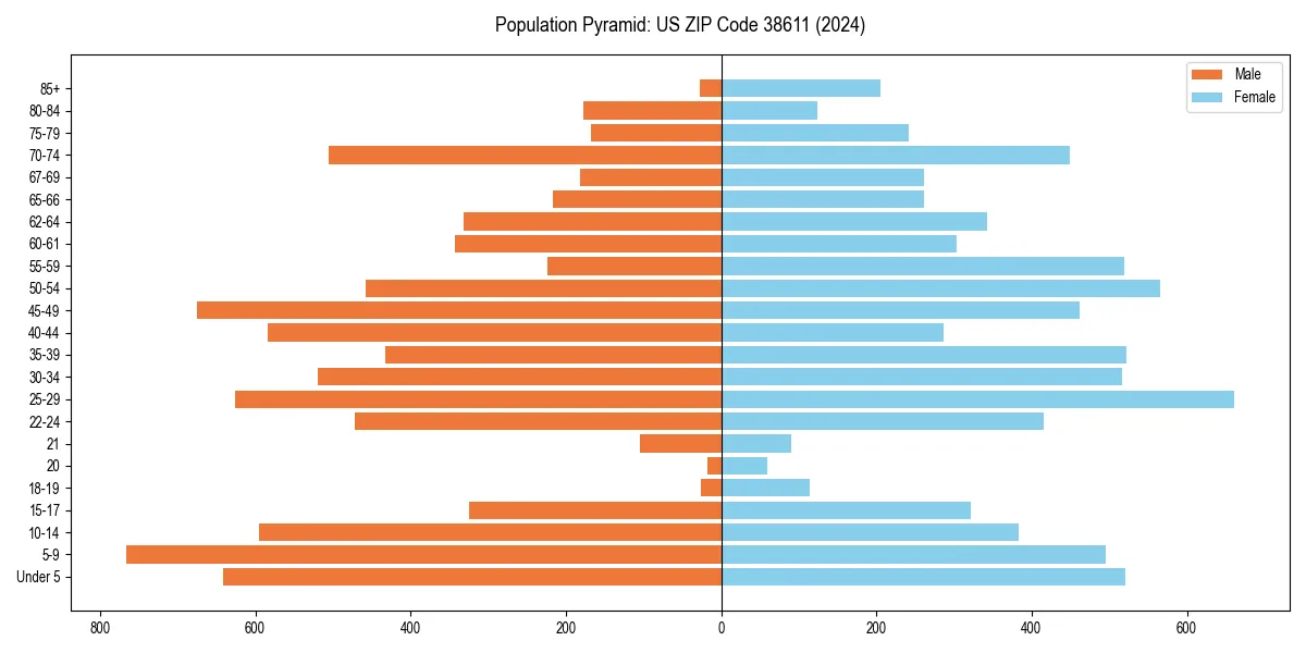 Population pyramid for 