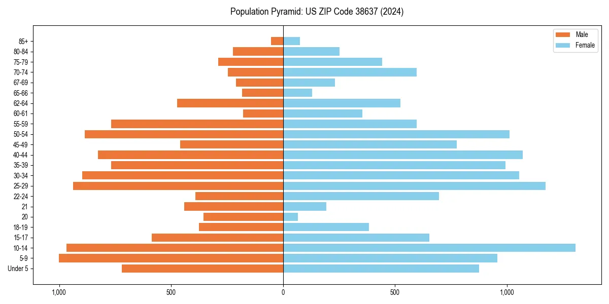 Population pyramid for 