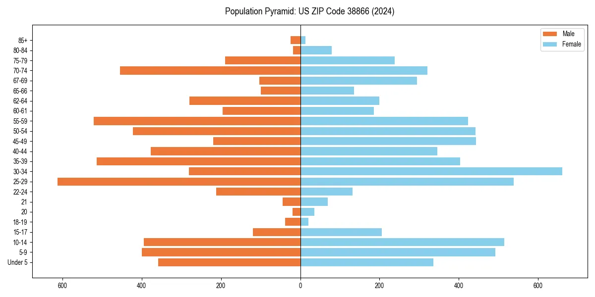 Population pyramid for 