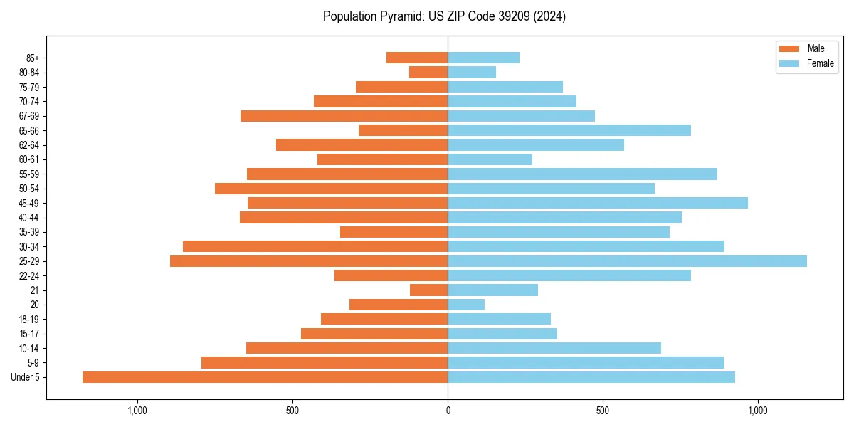 Population pyramid for 