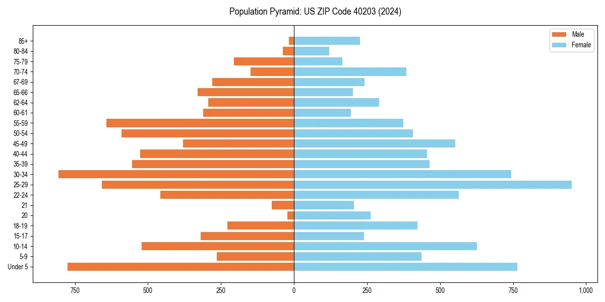 Population pyramid for 