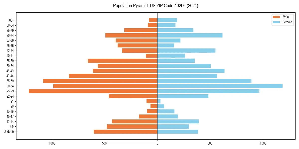 Population pyramid for 
