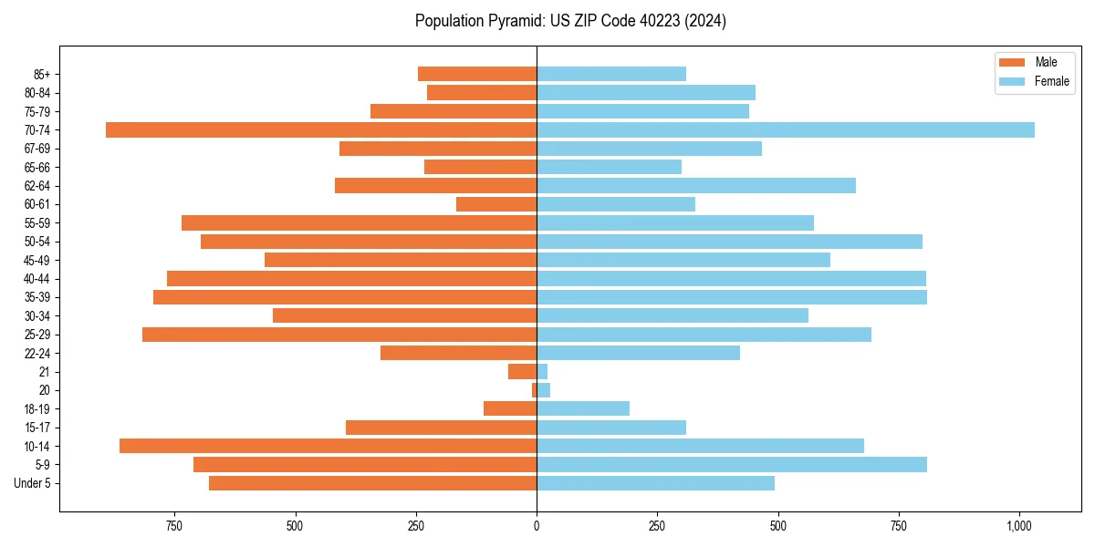Population pyramid for 