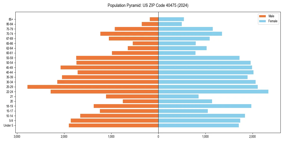 Population pyramid for 
