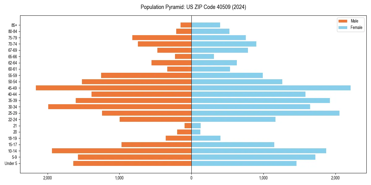 Population pyramid for 