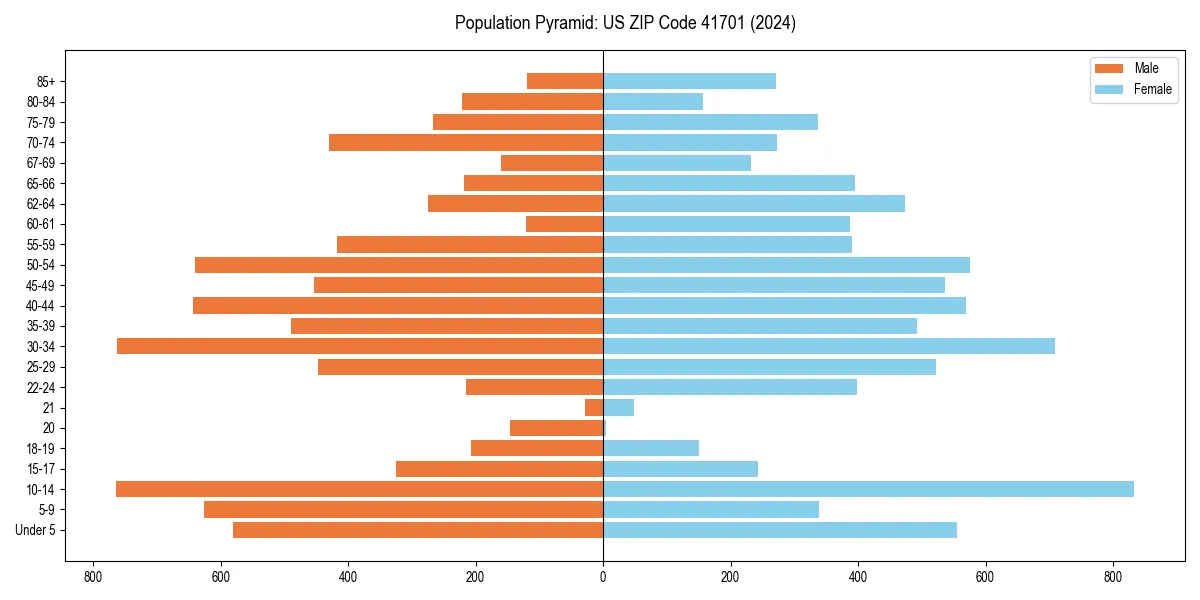Population pyramid for 