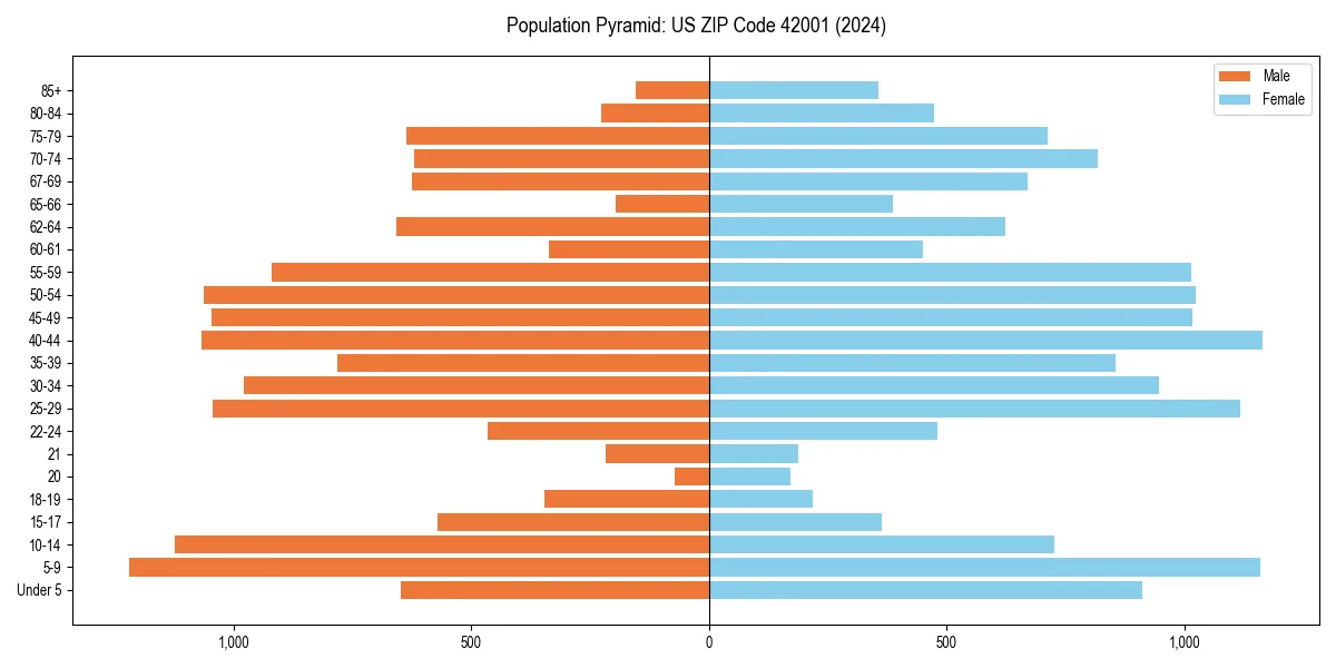 Population pyramid for 
