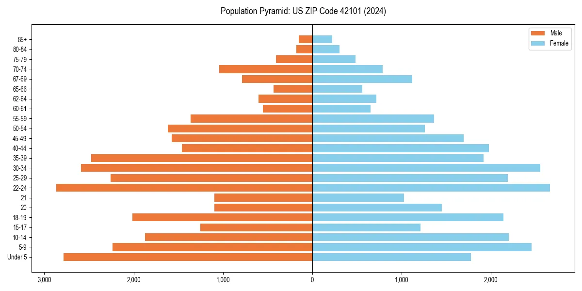 Population pyramid for 