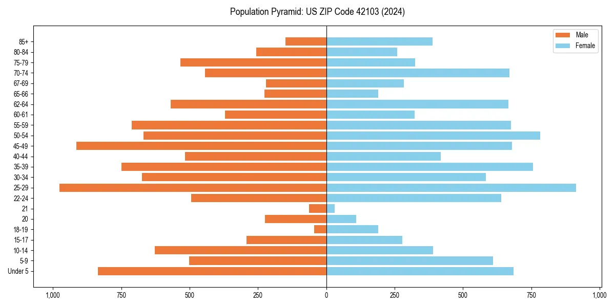 Population pyramid for 