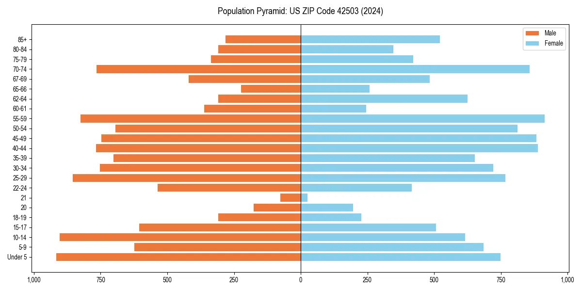 Population pyramid for 