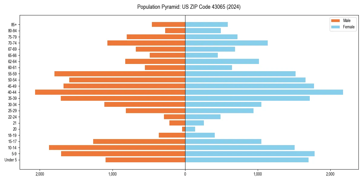 Population pyramid for 