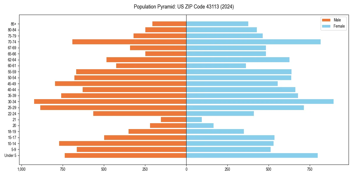 Population pyramid for 
