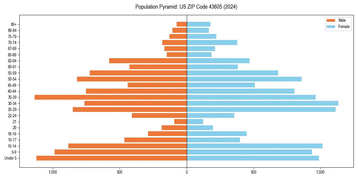Population pyramid for 