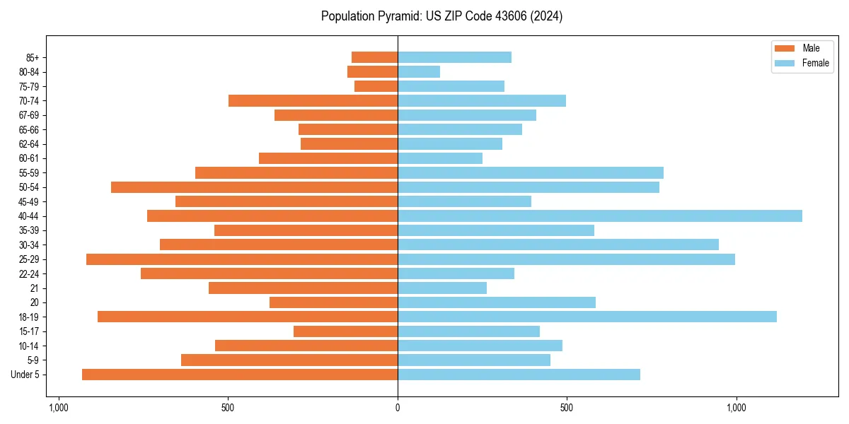 Population pyramid for 
