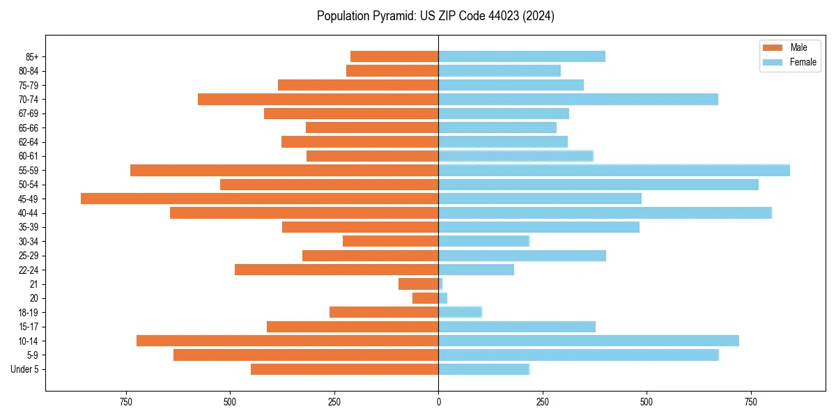 Population pyramid for 