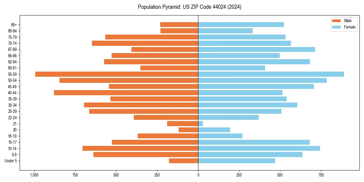 Population pyramid for 