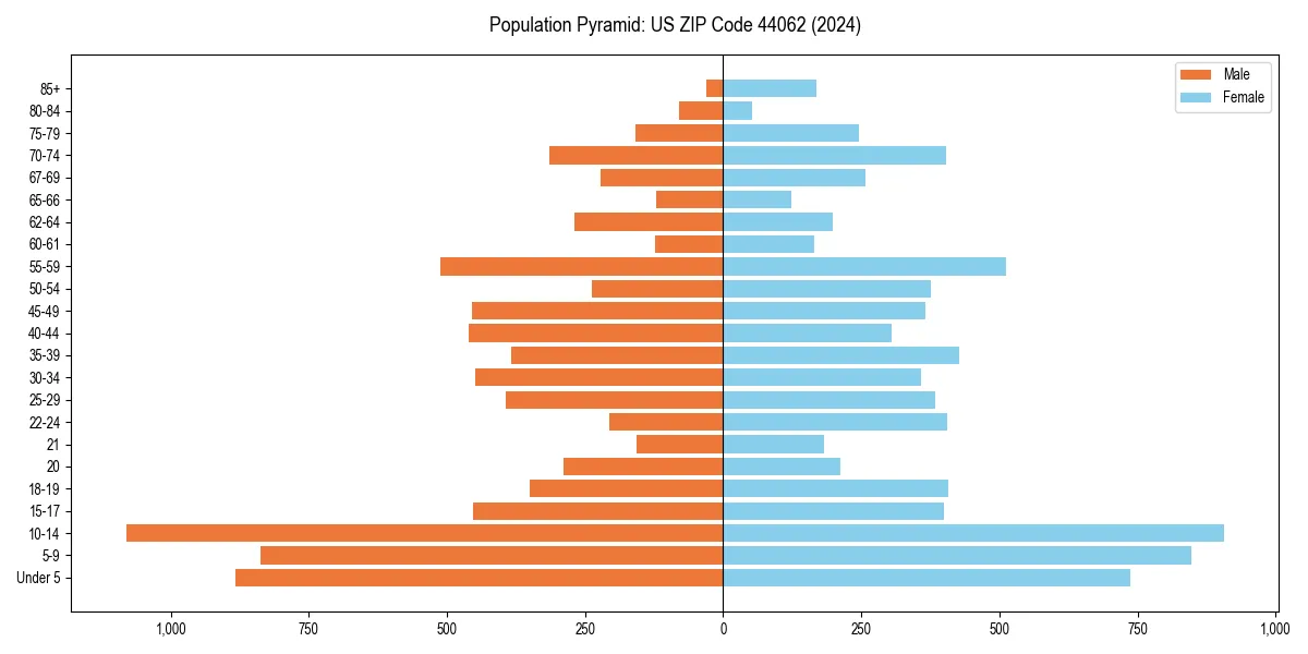 Population pyramid for 