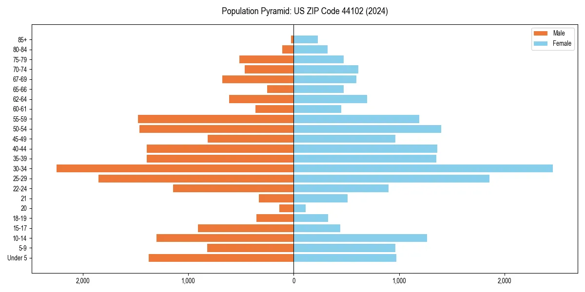 Population pyramid for 