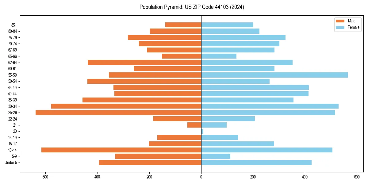 Population pyramid for 