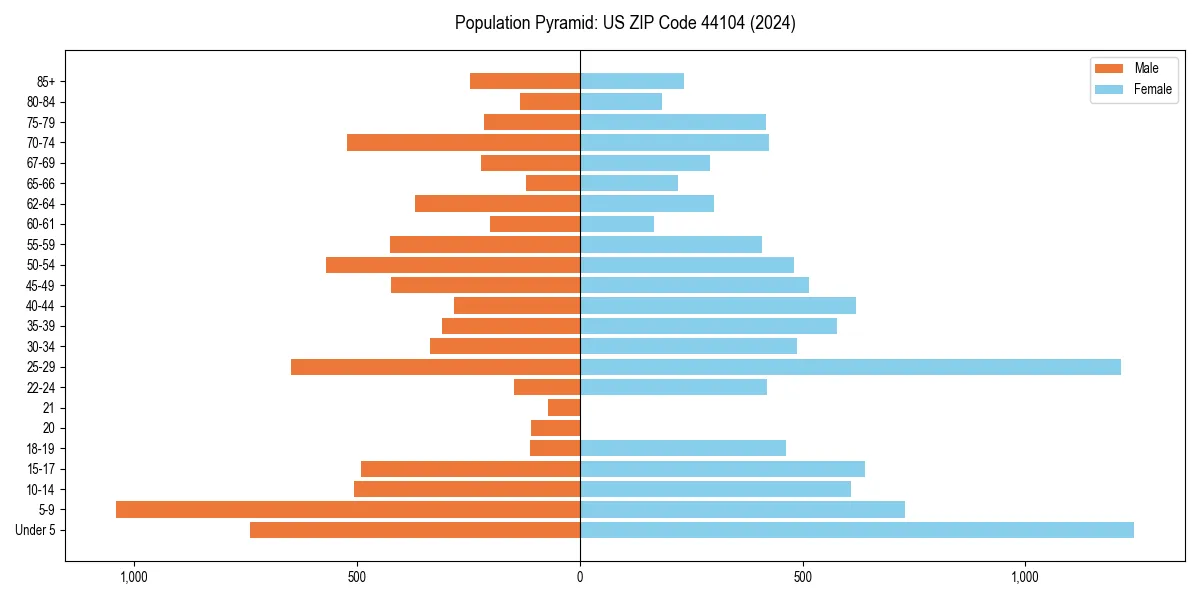 Population pyramid for 