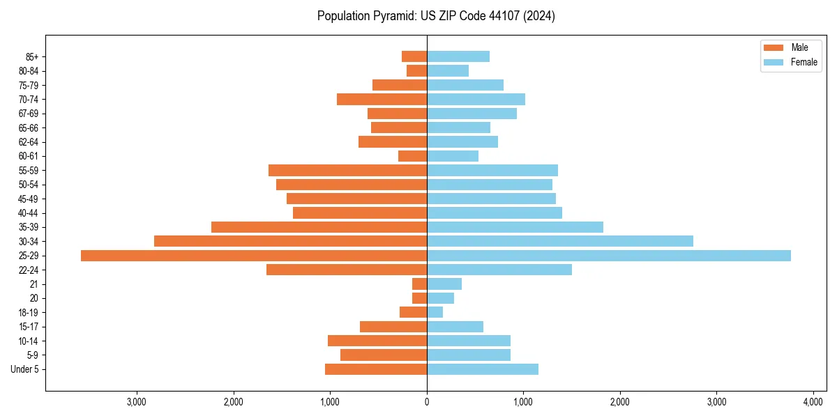Population pyramid for 