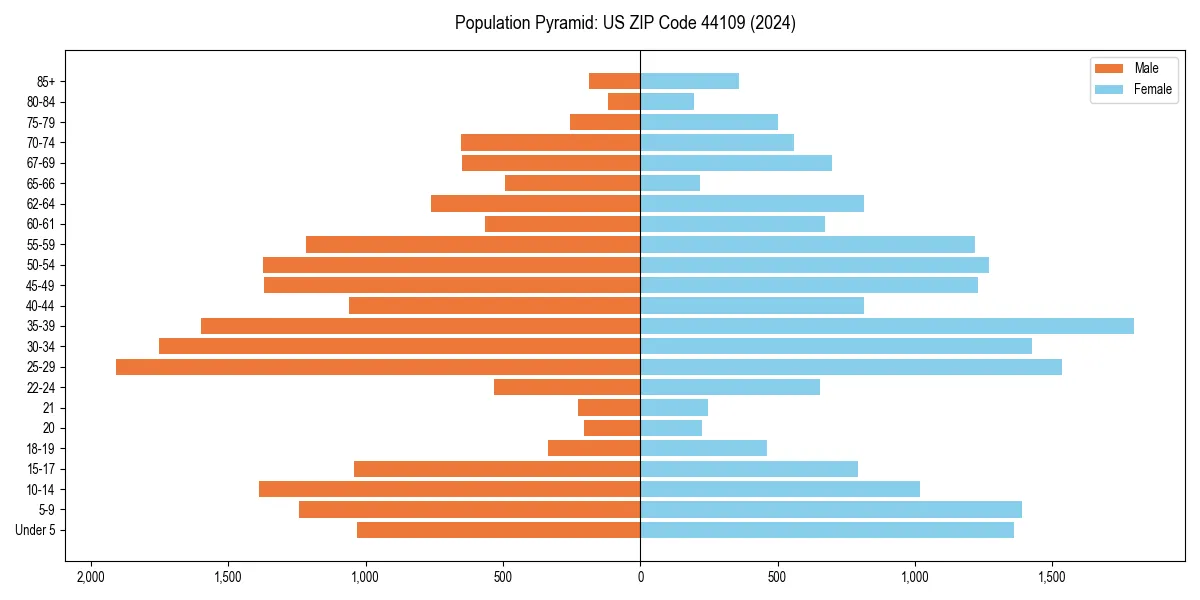 Population pyramid for 