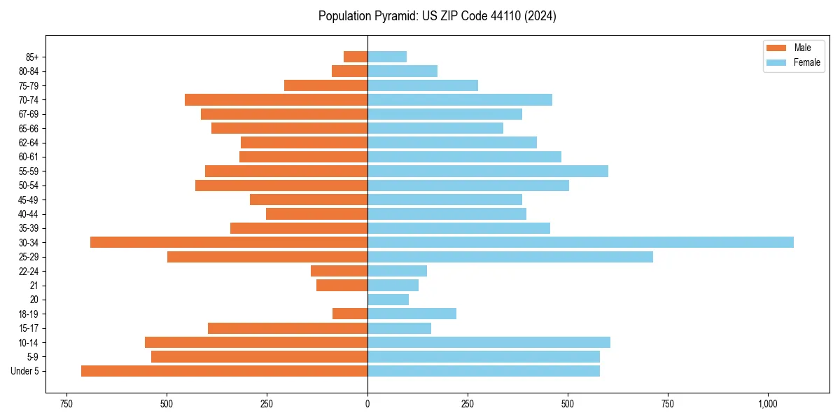 Population pyramid for 
