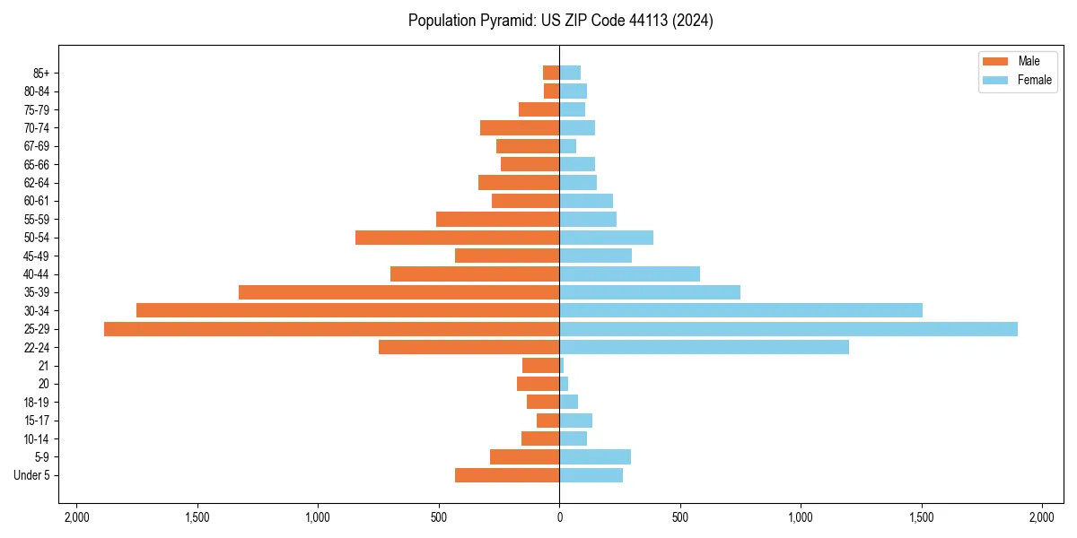 Population pyramid for 