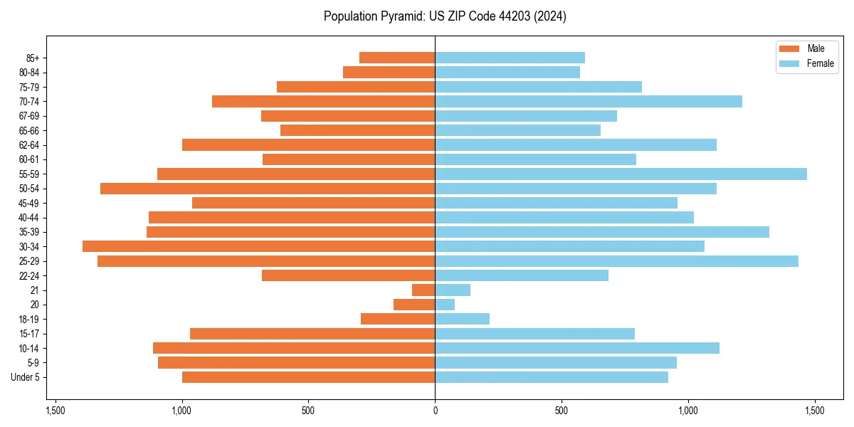 Population pyramid for 