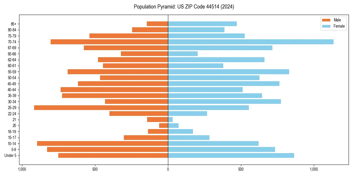Population pyramid for 