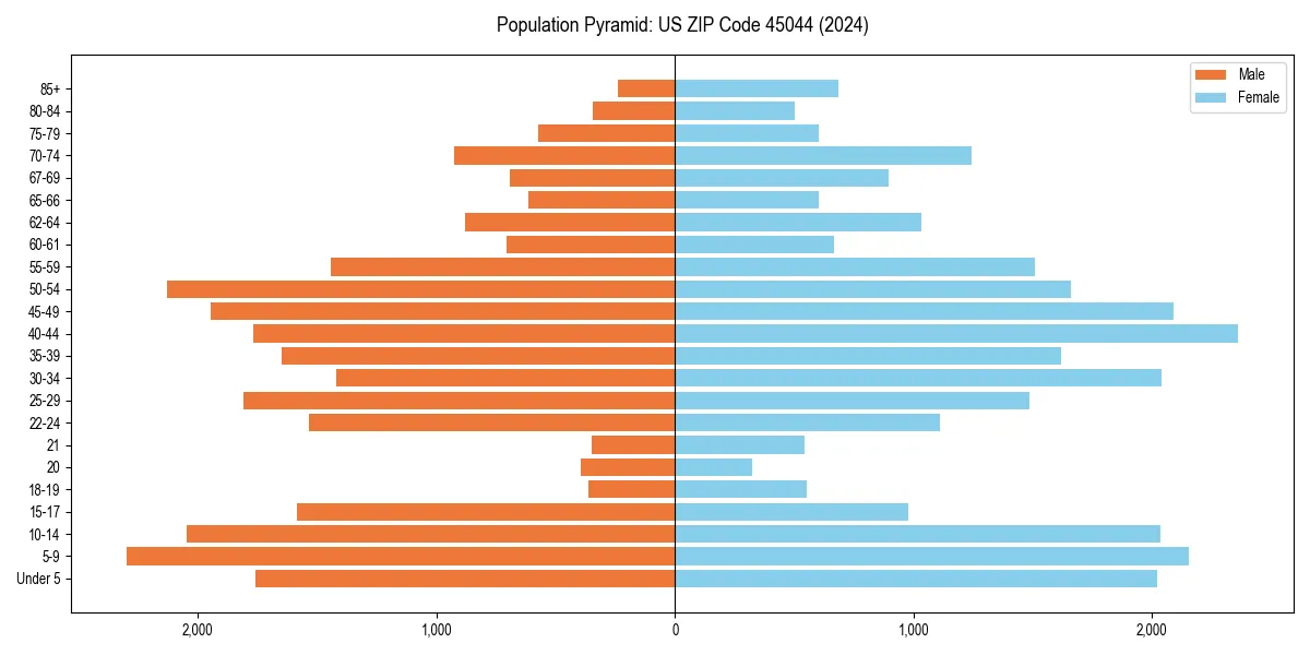 Population pyramid for 