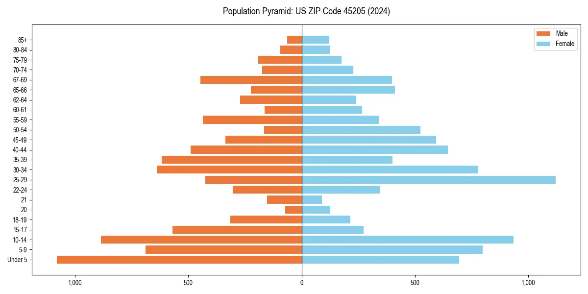 Population pyramid for 