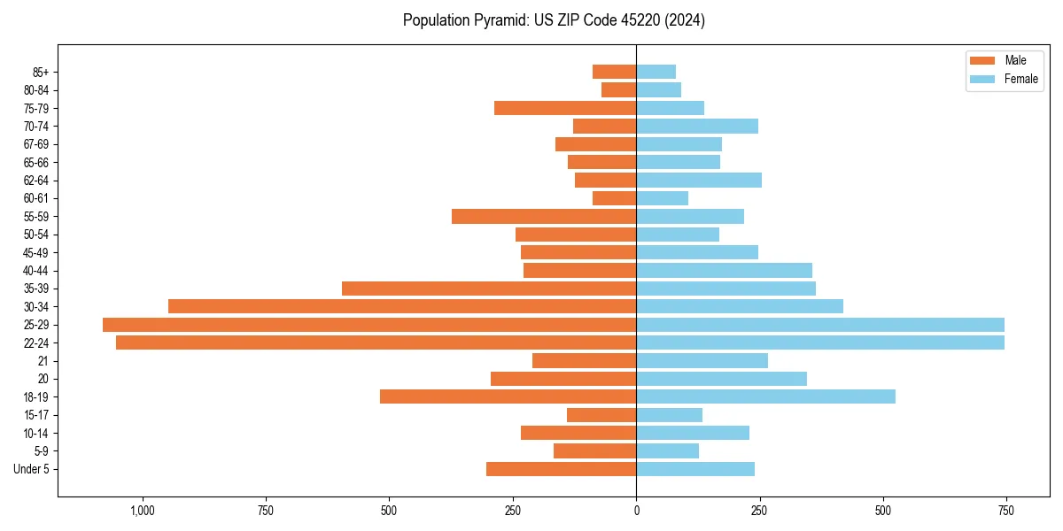 Population pyramid for 