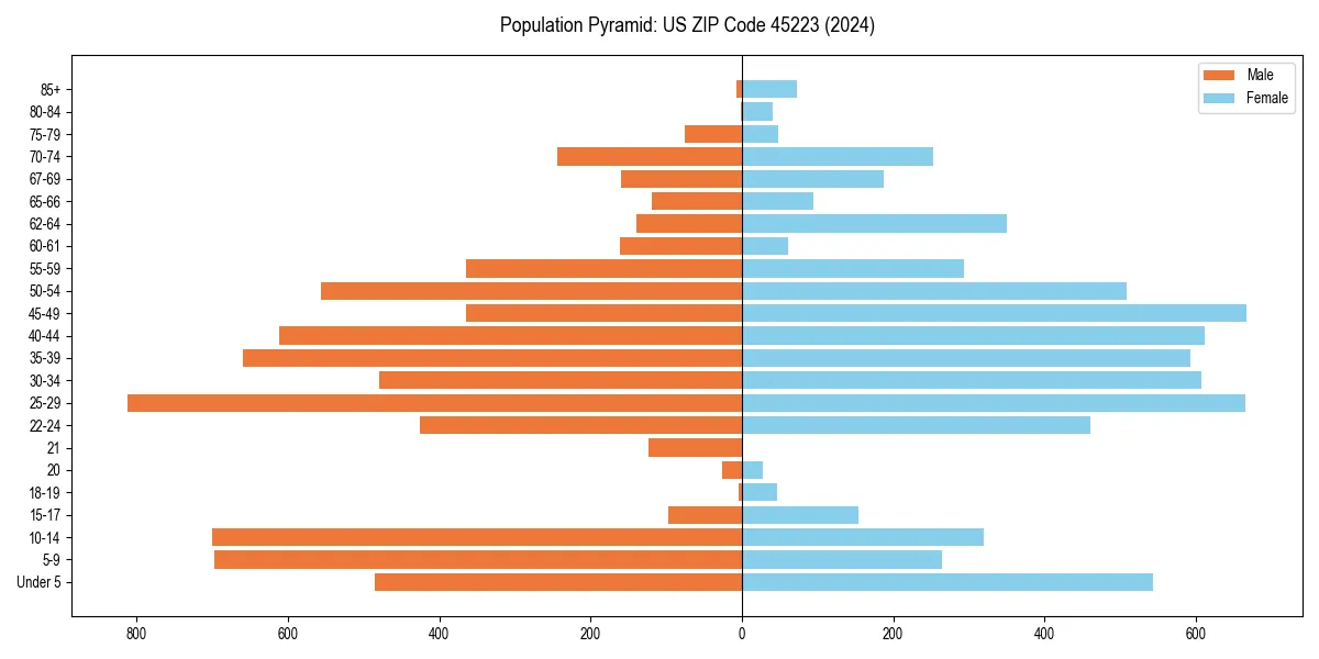 Population pyramid for 