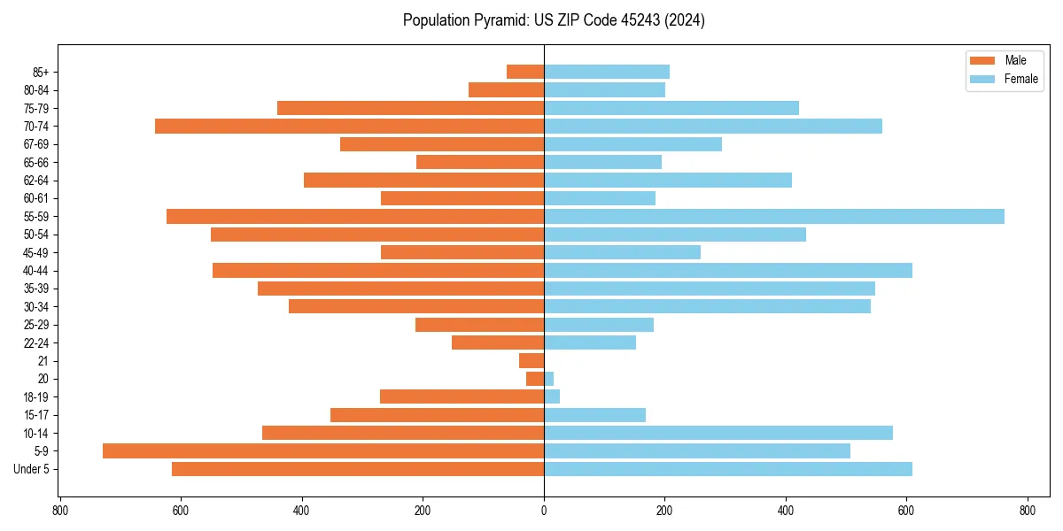 Population pyramid for 