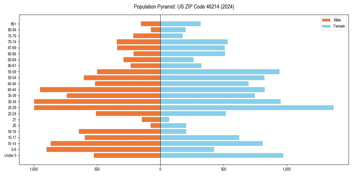 Population pyramid for 