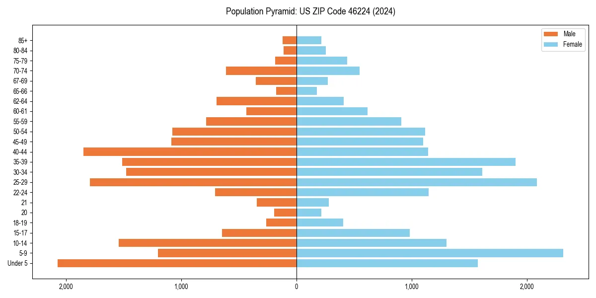 Population pyramid for 