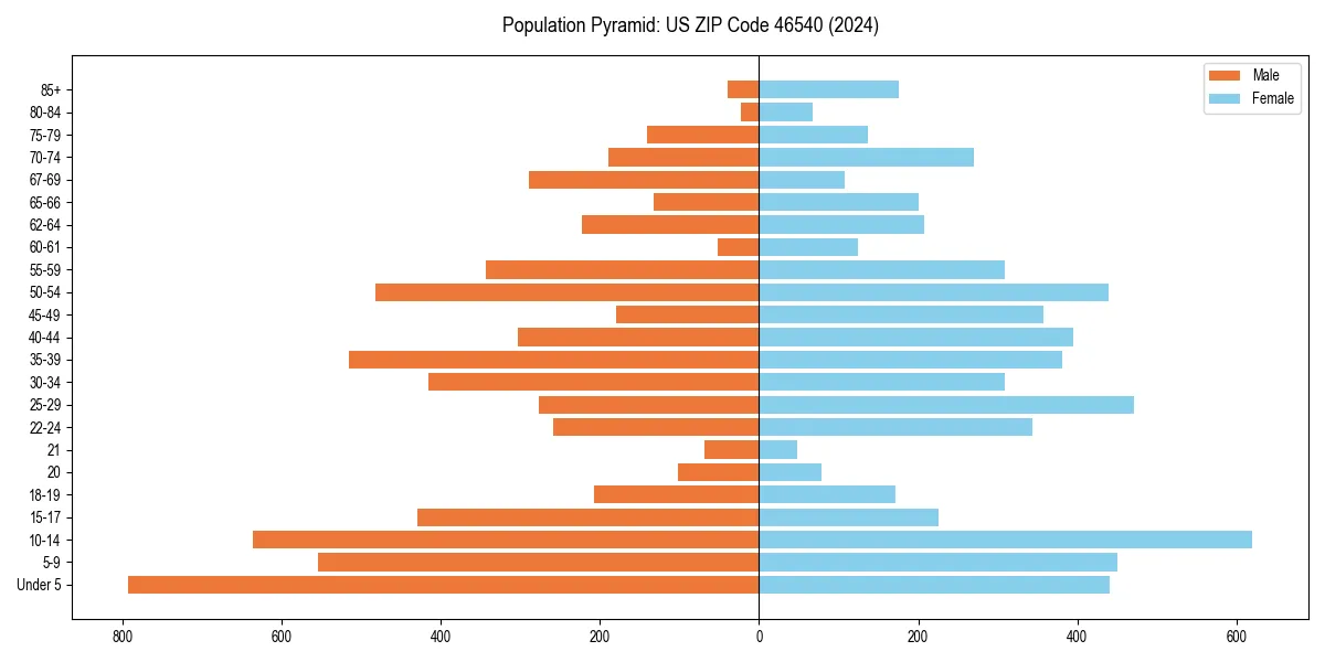 Population pyramid for 