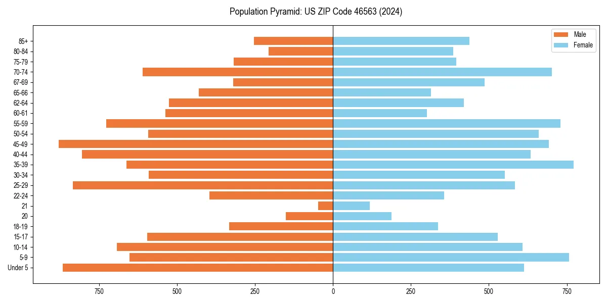 Population pyramid for 