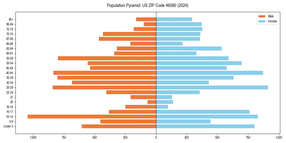 Population pyramid for 