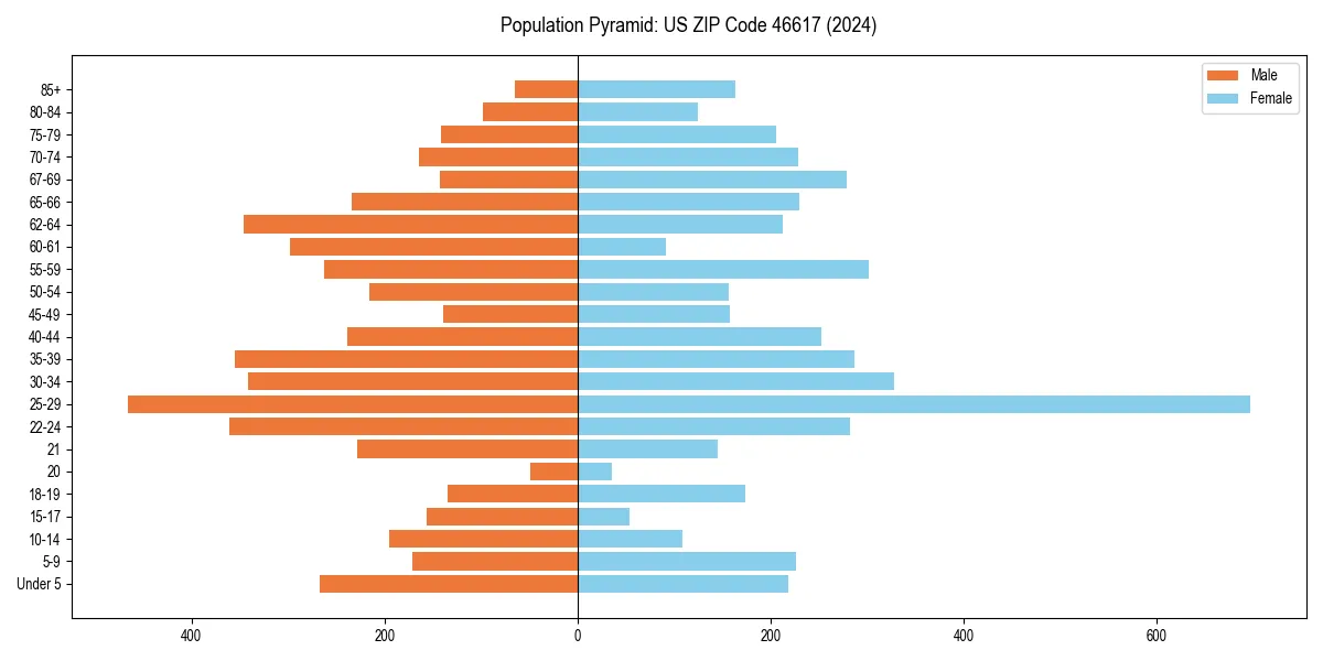 Population pyramid for 