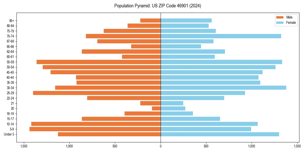 Population pyramid for 