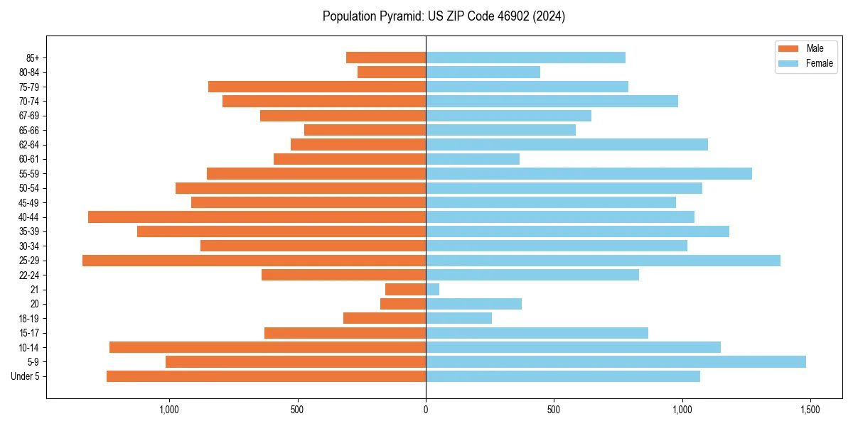 Population pyramid for 