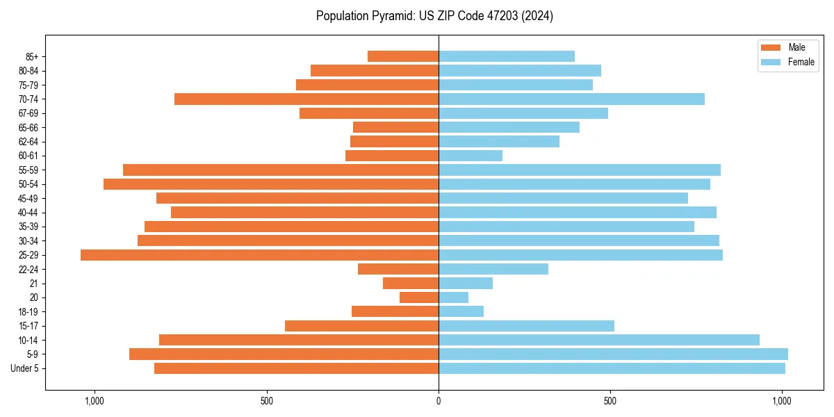 Population pyramid for 