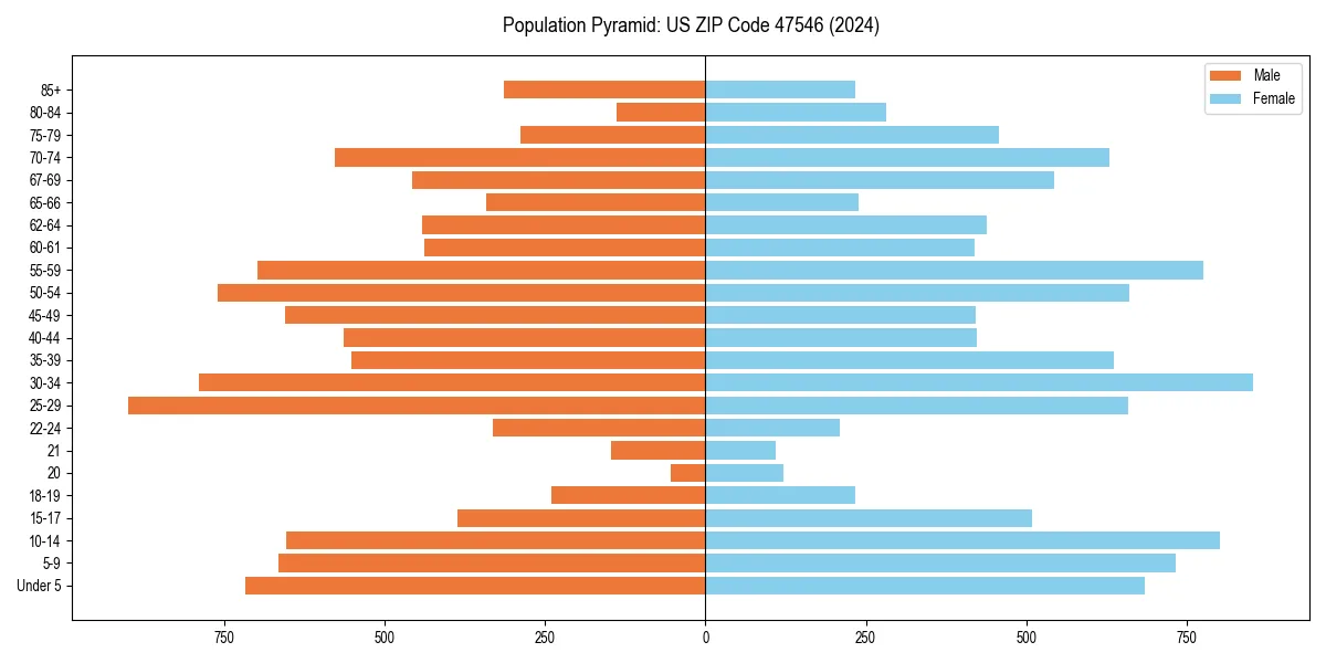 Population pyramid for 
