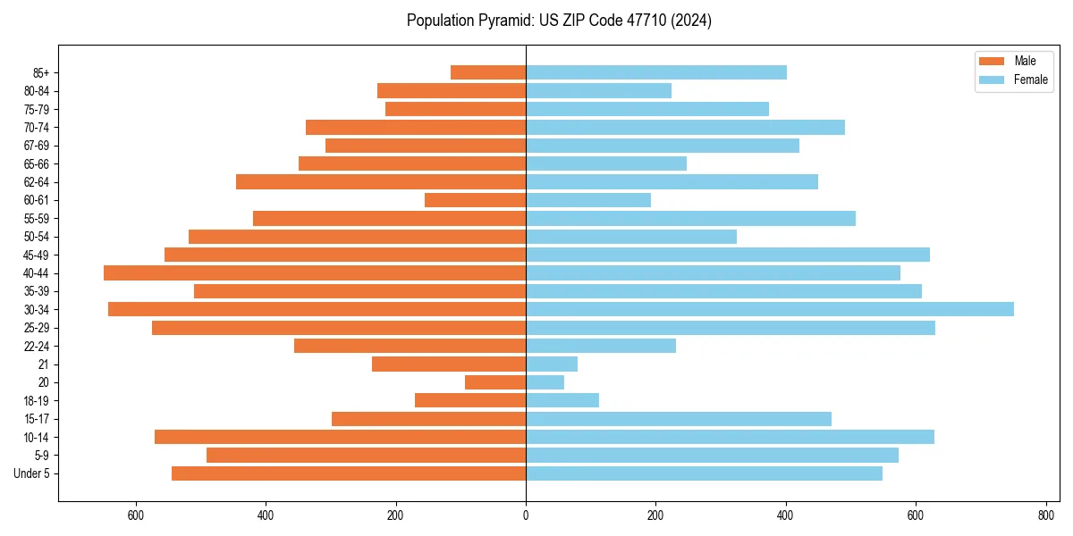 Population pyramid for 