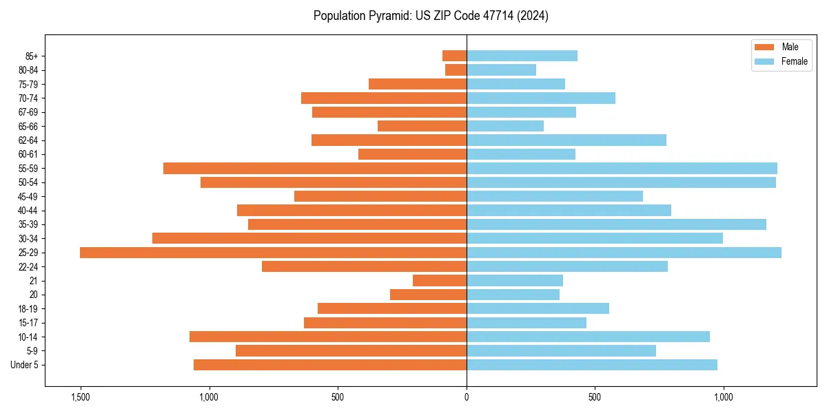 Population pyramid for 
