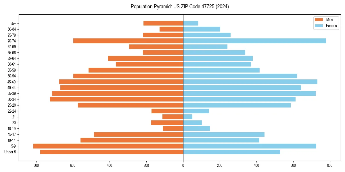 Population pyramid for 